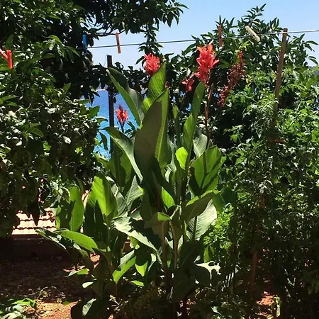 Lejlighed By The Sea Orebic, Peljesac - 4563 Orebić